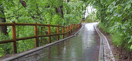 Radwanderweg um den Tollensesee